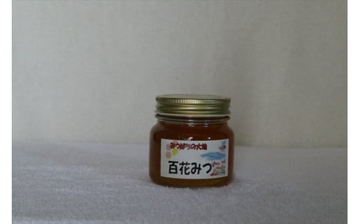 日本蜜蜂 蜂蜜 1.1kg 大容量 - 食品