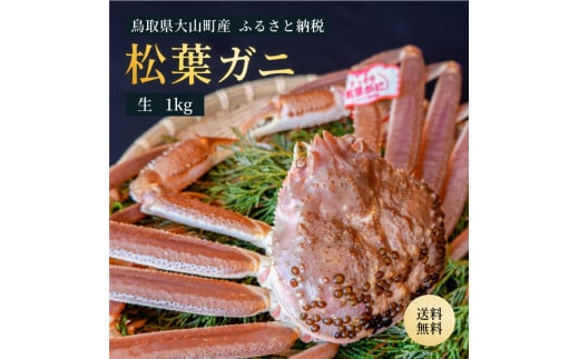 OM-26 ブランドタグ付生松葉ガニ（特大約1kg）【11月中旬以降発送】 - 鳥取県大山町｜ふるさとチョイス - ふるさと納税サイト