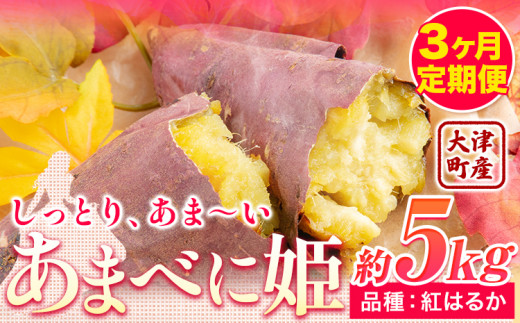 yF{Òz3 F{ ÒY ܂ׂɕP (g͂邩) 5kg KuXs12o׊Jnt܂   x st-p