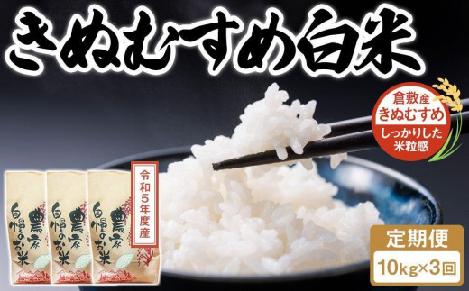 HD09 令和5年度産 きぬむすめ 白米 10kg 岡山県倉敷市産 - 岡山県倉敷