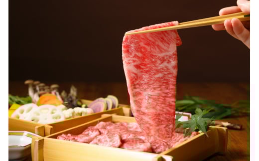 【佐賀県伊万里市】三栄の佐賀牛ローススライス(600g) 167-J884