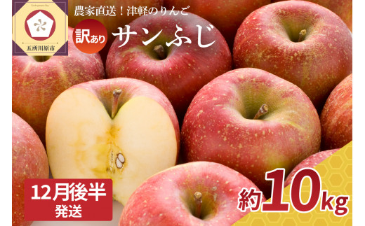 【青森県五所川原市】【2025年12月後半発送】  訳あり  りんご サンふじ 約 10kg 青森  果物  【 訳アリ リンゴ 林檎 ふじ さんふじ 】