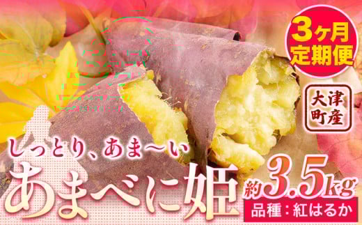 yF{Òz3 F{ ÒY ܂ׂɕP (g͂邩) 3.5kg KuXs12o׊Jnt܂   x