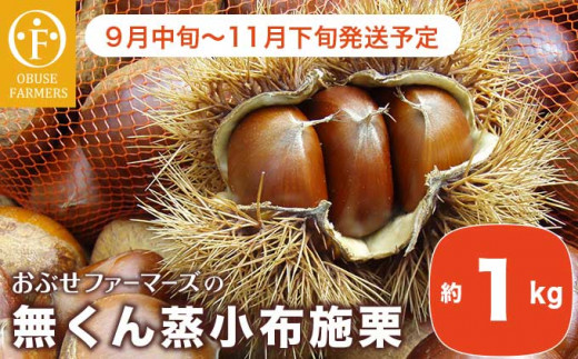 小布施栗（無燻蒸生栗） 約2kg ［小布施屋］ 2023年9月中旬～10月下旬