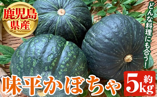 農家直売かぼちゃ２種＆さつま芋２種♪秋の４種セット計４キロ♪