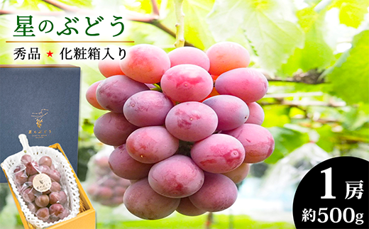 ＜令和6年夏発送・数量限定＞自然が育んだ「星のぶどう」クイーンニーナ 1房(約500g)［ 秀品・化粧箱入り ］ 【島根県 雲南市 フルーツ 果物  デザート ブドウ 葡萄】