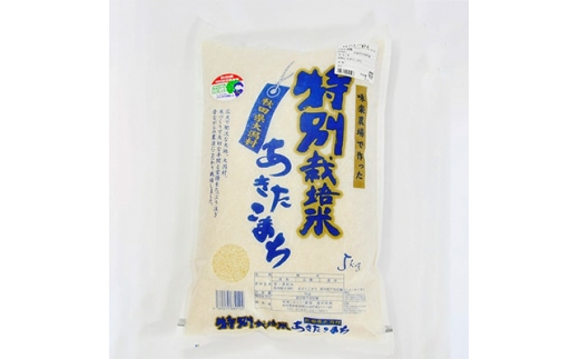 ふるさと納税 大潟村 あきたこまち特別栽培米 精米10kg(5kg×2) - 米