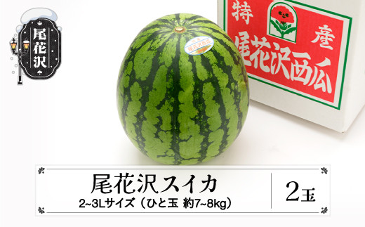 先行予約 尾花沢スイカ 2〜3Lサイズ(約7〜8kg)×2玉 7月下旬～8月