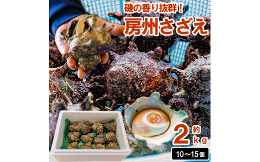 磯の香り抜群!房州さざえ2kg(10～15個入り) mi0020-0007 - 千葉県南