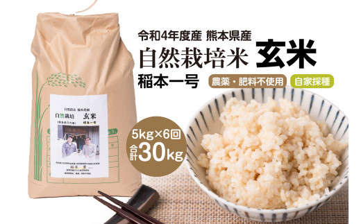 6ヶ月定期便】令和4年度産 熊本県産 自然栽培米 稲本一号 玄米 5kg お