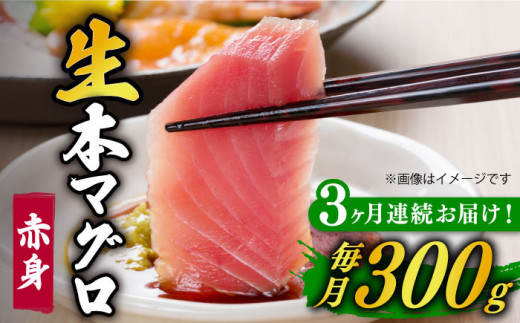 【全3回定期便】【ながさき水産業大賞受賞の新鮮なマグロを冷蔵で