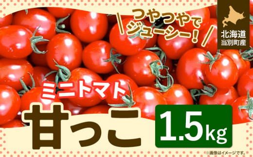 [0.5-220]　北海道当別町産化学農薬不使用ミニトマト：甘っこ1.5kg