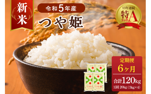 つや姫　20kg 中米　業務米　令和5年 山特別栽培米