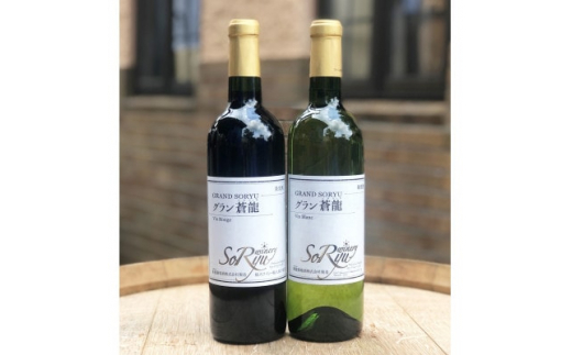 【山梨県】山梨県よりお届け「蒼龍葡萄酒」の定番ワイン赤白2本セット(720ml×2本)【1312547】