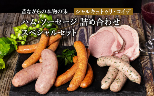 サンプル写真
