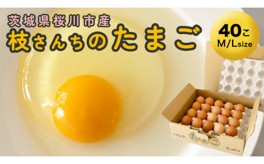 6ヶ月定期便】枝さんち の たまご 20個×6回 合計120個 定期便 産地直送