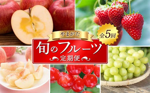 先行予約 令和6年度発送】柔らかめ白桃 約2kg（4～10玉） 品種おまかせ