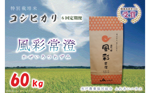 FC-7　【6ヶ月定期便】【令和5年産】特別栽培米コシヒカリ「風彩常澄」計60kg（10kg×6回）