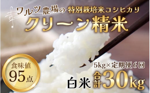 定期便6回】【令和5年産】ワルツ農場のコシヒカリ クリーン精米 5kg