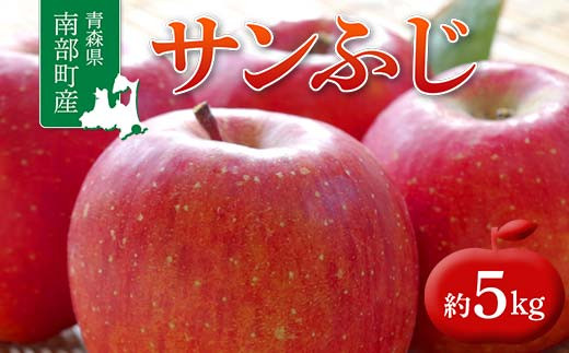 青森県 南部町産 りんご サンふじ 約5kg 【盛果園】 青森りんご リンゴ