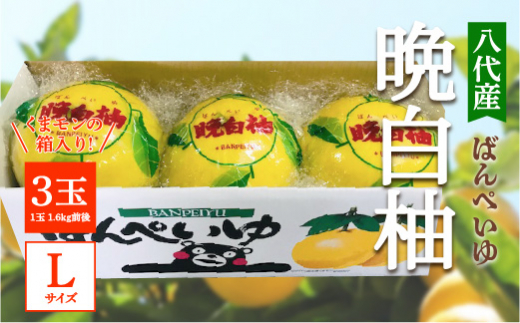 sd1_bbb4d27453192a5f44f772efc6