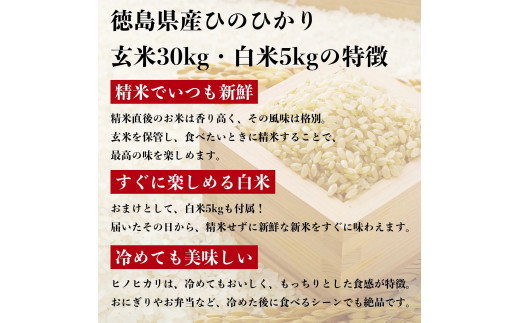 徳島県産 うるち玄米 ヒノヒカリ30kg（令和3年 香川県産