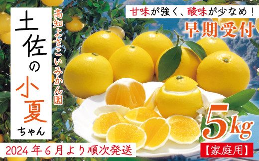 ご好評につき令和6年度配送分は終了いたしました】R5-164．【早期受付・数量限定】甘味が強く酸味が少なめ！土佐の小夏ちゃん5kg【家庭用】 -  高知県四万十市｜ふるさとチョイス - ふるさと納税サイト