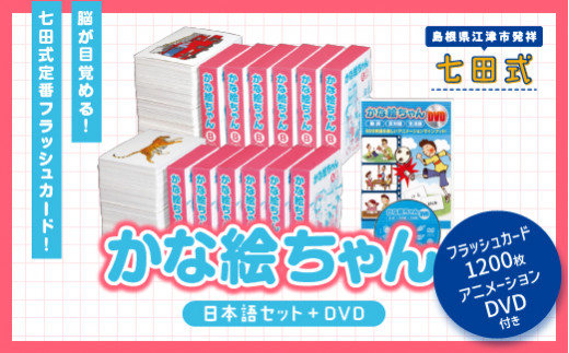 七田式　フラッシュガード かなちゃん日本語DVDセット