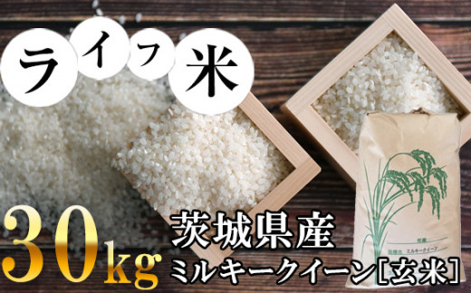 純正直売 茨城令和5年産ミルキークイーン玄米20kg | kyocanoco.co.jp