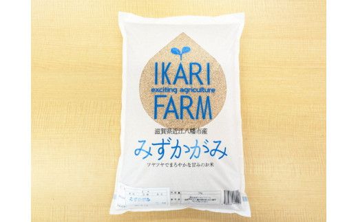 サンプル写真