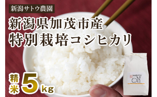 令和5年産米】化学肥料不使用 従来コシヒカリ 10kg【里の蔵】特別栽培