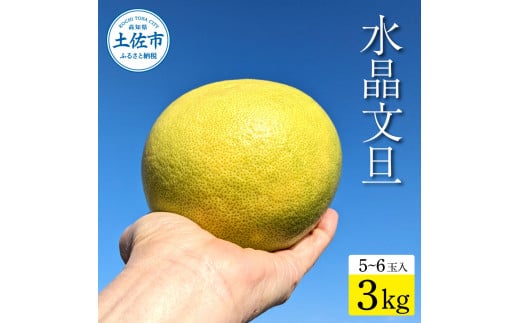 土佐市産 水晶文旦 約3kg (5～6玉）文旦 ぶんたん ブンタン すいしょうぶんたん ハウス栽培 甘い 高級 果物 柑橘 フルーツ 果物 ご当地  お取り寄せ ３キロ 贈答 ギフト