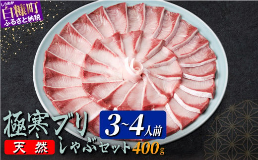 天然極寒ブリ ブリしゃぶセット 400g(3～4人前) ぶり ぶりしゃぶ ブリしゃぶ ぶり刺身 ブリ刺身 刺身 極寒ぶり 寒ブリ 寒ぶり しゃぶしゃぶ  国産ぶり 国産 天然ぶり 天然ブリ 冷凍 冷凍ぶり 冷凍ブリ 鍋 なべ 新鮮 海鮮 鮮度 北海道 北海道ぶり 北海道産 人気 ふるさと ...