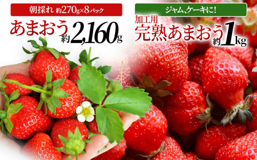 あまおう約270ｇ×8パック ＋ ジャムやケーキなど加工用 完熟あまおうの