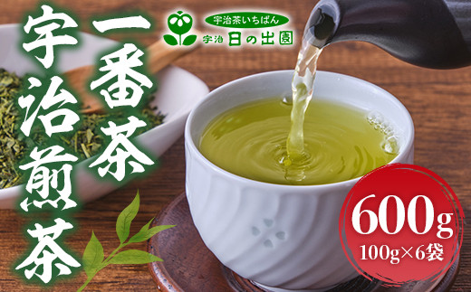 2023年産 一番茶 宇治煎茶600g(100g×6袋) お茶 宇治茶 緑茶 煎茶 一 