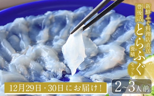 ＜先行予約受付中！12月29日、30日にお届け！＞焼きひれ付き！新鮮ふぐ料理店直送　「豊後活とらふぐセット　 養殖2-3人前」【AM212】【(株)まちづくり佐伯 さいき本舗 城下堂】