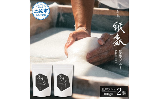 銀象ソルト Ginzo-Salt 星屑ソルト 100g×２個セット 合計200g 塩 しお 調味料 天日塩 完全天日塩 国産 高知県産 ソルト  ミネラル 健康 料理 調理 お塩 塩 美味しい 天然