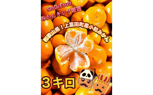 ya̎Rxczys\z݂3kg@xI݂̗IySmileFruit݂LOIz2025N10{ȍ~