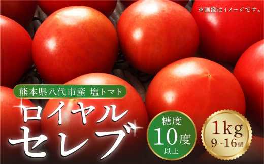 トマトミックス15Kg