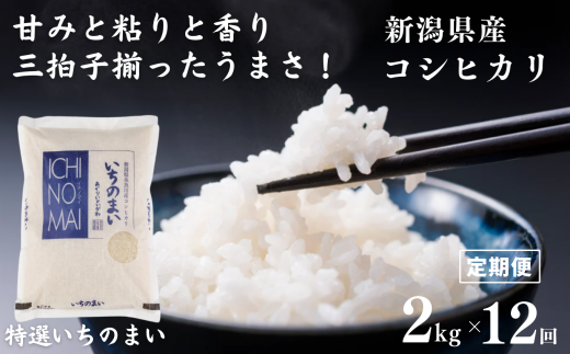 定期便】 新潟県産コシヒカリ「特選いちのまい」2㎏×12ヶ月 計24kg 米