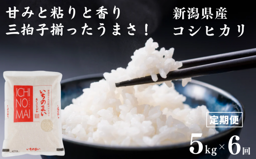 定期便】新潟県産コシヒカリ「いちのまい」5㎏×6ヶ月 計30㎏ 米・食味