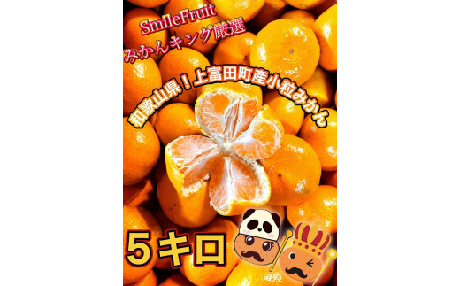 【先行予約】小粒みかん5Kg　高糖度！みかんの里！【SmileFruitみかんキング厳選】2024年10月下旬以降順次発送