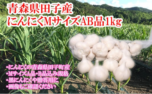 田子産にんにく約1kg（MサイズA～B品） - 青森県田子町｜ふるさとチョイス - ふるさと納税サイト