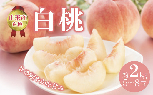 《先行予約 2024年度発送》白桃 約2kg(5~8玉) FSY-0508