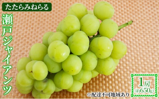 yRzy2026Ns\z Ԃǂ RY ݂˂ ˃WCAc 1[(650g) s2026N9{-10{oׁt  uhE t[c ʕ XC[c ʌ Ԍ