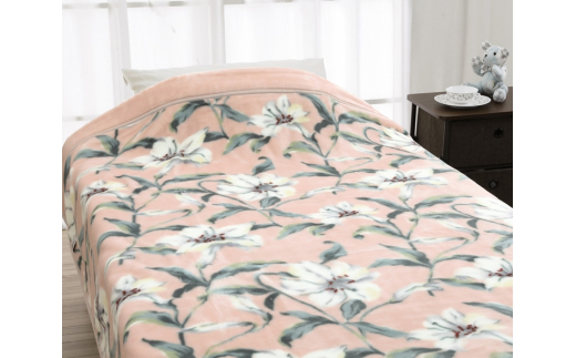 y{ÎszROMANCE ZI }C[ѕz sN VO 66308810bԕ   AN ѕz  [4374]