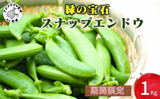 期間限定》みずみずしさ弾ける！鷹島のスナップエンドウ1kg( えんどう エンドウ 豆 旬の野菜 野菜 新鮮 朝摘み 長崎県 松浦市 )【B0-161】  - 長崎県松浦市｜ふるさとチョイス - ふるさと納税サイト