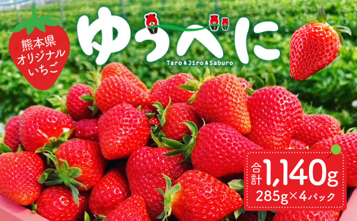 先行予約】 やつしろの昭和いちご ゆうべに 285g×4パック 計1140g