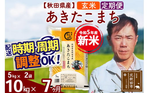 ふるさと納税 三種町 《定期便7ヶ月》あきたこまち 10kg 秋田県