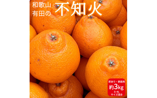 和歌山県産 有田の 不知火(しらぬひ) 【訳あり 家庭用】 3kg (S～4Lサイズ混合)【まごころ手選別】【でこぽん デコポン しらぬい 不知火  柑橘】